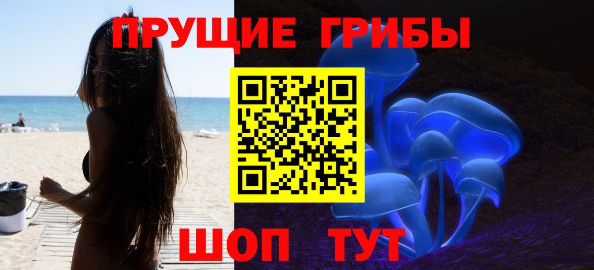Галлюциногенные грибы Cubensis  Вход с VPN  Черняховск 
